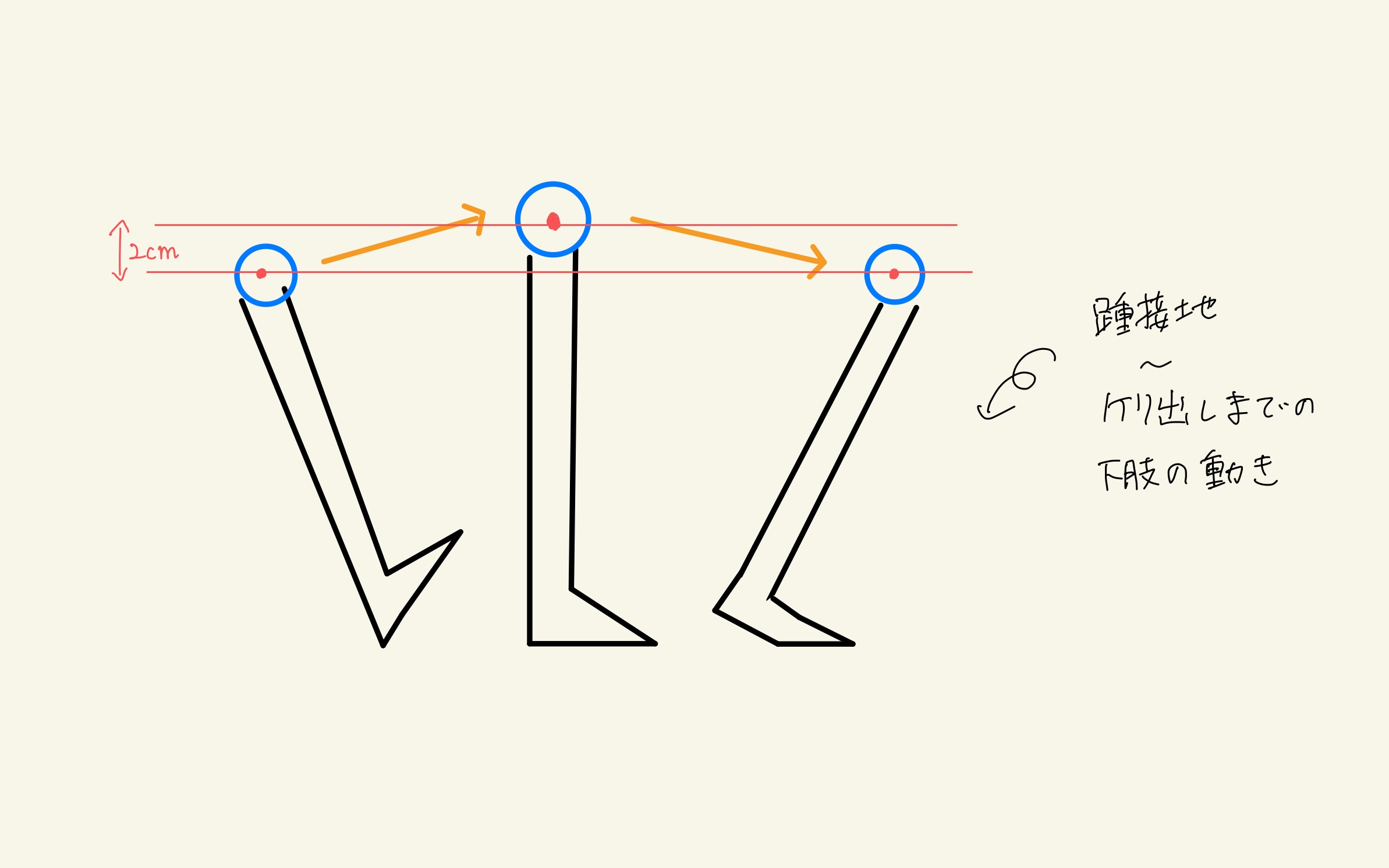 【歩行Part1】正しい歩き方には「踵から歩く」と良い理由とは！？ 群馬県高崎市のストレッチ・整体・パーソナルトレーニング・カラダの不調を